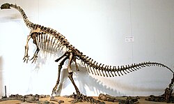 Plateosaurus