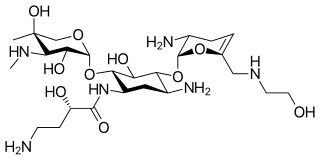 <span class="mw-page-title-main">Plazomicin</span> Antibiotic medication