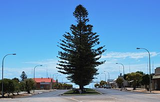 <span class="mw-page-title-main">Port Victoria, South Australia</span> Town in South Australia