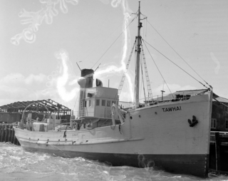 HMNZS <i>Tawhai</i> World War II battleship