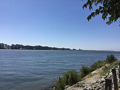 Sacramento River in Rio Vista, California.jpg