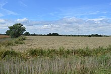 Sandbeach Meadows 5.jpg