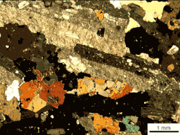Sezione di sienite vista a nicol incrociati