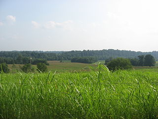 <span class="mw-page-title-main">Battle of Tebbs Bend</span> Battle of the American Civil War