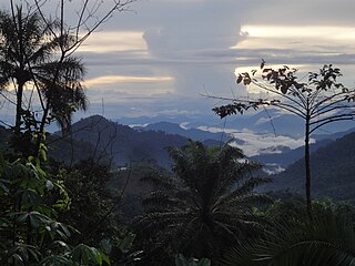 <span class="mw-page-title-main">Wabane</span> Commune and town in Wabane Sub-Division, Cameroon