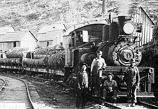 <span class="mw-page-title-main">Yosemite Lumber Company</span> Defunct logging company in Yosemite National Park, California, US