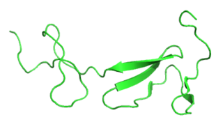 <span class="mw-page-title-main">Collagen, type II, alpha 1</span>