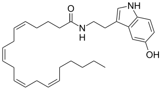 Arachidonoyl serotonin Chemical compound