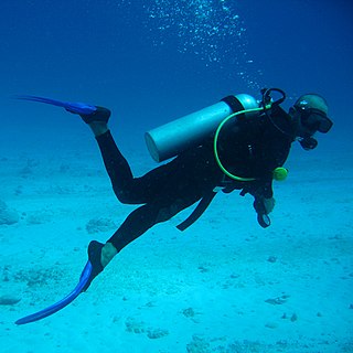 <span class="mw-page-title-main">Scuba diving</span> Swimming underwater, breathing gas carried by the diver