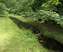 Photographie en couleurs d'un lavoir en forme de long bassin entouré de berges herbues et abrité dans un écrin de verdure composé d'arbres feuillus.