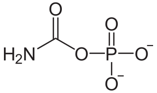 <span class="mw-page-title-main">Carbamoyl phosphate</span> Chemical compound