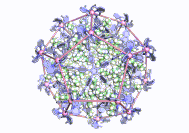 Co20L12 movie.gif