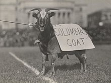 Matilda cheering on Columbia's athletes, c. 1910 ColumbiaGoat (cropped).jpg