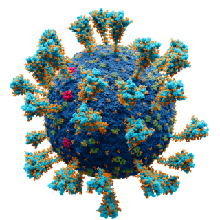 <span class="mw-page-title-main">ZyCoV-D</span> Vaccine candidate against COVID-19