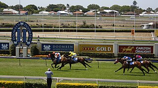 Thoroughbred racing in Australia