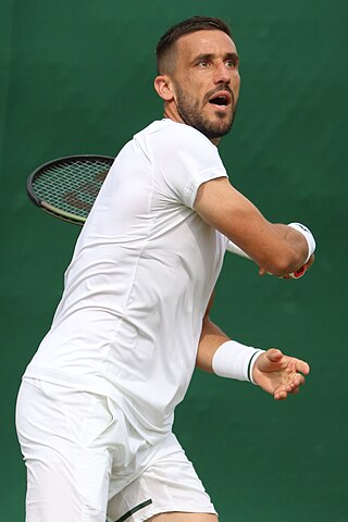 <span class="mw-page-title-main">Damir Džumhur</span> Bosnian tennis player