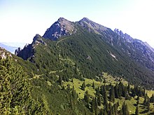 Photo de montagnes boisées typiques des alpes suisses