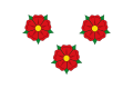 Flag of Roses, Spain