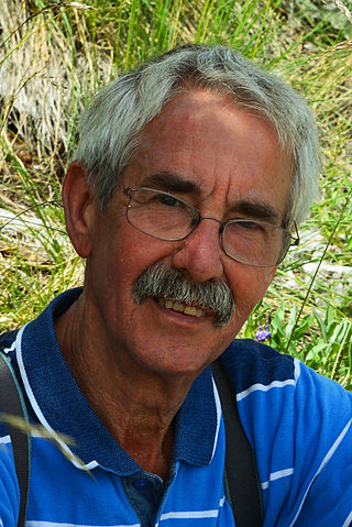 <span class="mw-page-title-main">Lee Sallows</span> British electronics engineer (born 1944)