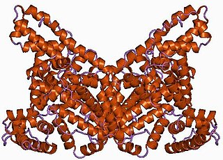 <span class="mw-page-title-main">Albumin</span> Family of globular proteins