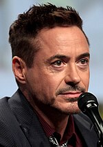 Photo of Robert Downey Jr. in 2014.