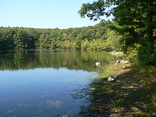 <span class="mw-page-title-main">Rocky Woods</span> Protected landscape in Massachusetts, USA