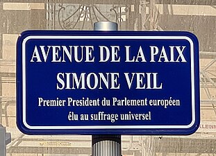 Estrasburgoko Simone Veil Etorbidea