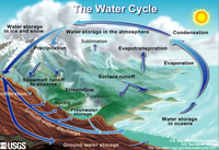 The Water Cycle Water cycle.png