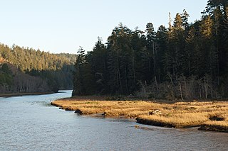 <span class="mw-page-title-main">Big River (California)</span> River in Mendocino County, California (USA), south of Mendocino Village