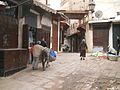 La medina di Fes (Marocco)