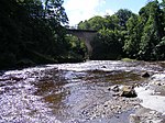 Gilnockie Bridge (A7 over River Esk)