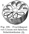 Vorschaubild der Version vom 19:26, 21. Jul. 2006