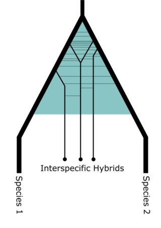 <span class="mw-page-title-main">Introgression</span> Transfer of genetic material from one species to another