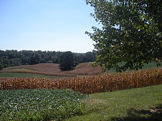 <span class="mw-page-title-main">Limited Resources Farmer Initiative</span>