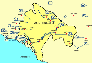 <span class="mw-page-title-main">Montenegrin campaign</span> 1916 invasion of Montenegro during WWI