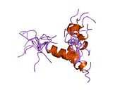 PDB 1zwb EBI.jpg