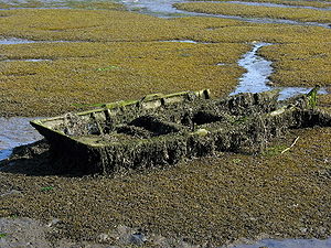 Sunk boat, Pontedeume. Galicia, Spain