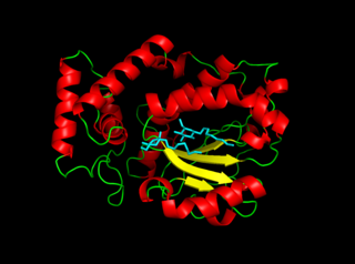 <span class="mw-page-title-main">Sec14</span>