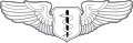 Flight Surgeon Badge