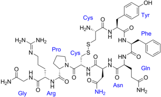 <span class="mw-page-title-main">Vasopressin</span> Mammalian hormone released from the pituitary gland