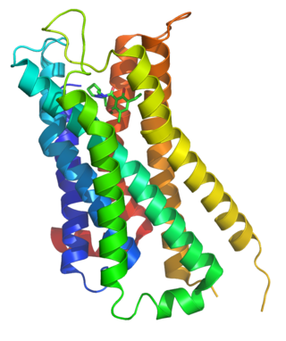 Dopamine receptor D<sub>3</sub> Subtype of Dopamine Receptor