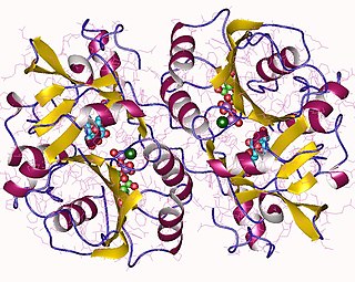 <span class="mw-page-title-main">Galactosylgalactosylxylosylprotein 3-beta-glucuronosyltransferase</span>