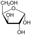 de: Struktur von alpha-D-Xylofuranose (Haworth-Schreibweise); en: Structure of alpha-D-xylofuranose (Haworth projection)