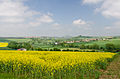 * Nomination View over Warburg, photographed from Weldaer Berg --Tuxyso 11:57, 20 May 2013 (UTC) * Promotion Good. --Christian Ferrer 12:24, 20 May 2013 (UTC)