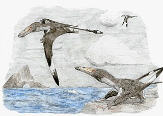 <i>Dearc</i> Genus of rhamphorhynchine pterosaur