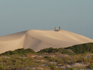 <span class="mw-page-title-main">Hampton bioregion</span> Bioregion in Western Australia