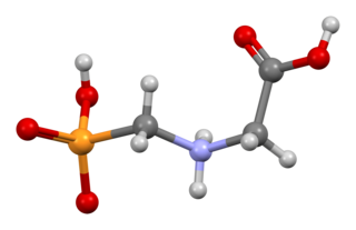 <span class="mw-page-title-main">Glyphosate</span> Systemic herbicide and crop desiccant