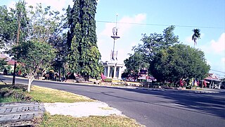 <span class="mw-page-title-main">Kuala Pembuang</span> Place in Central Kalimantan, Indonesia