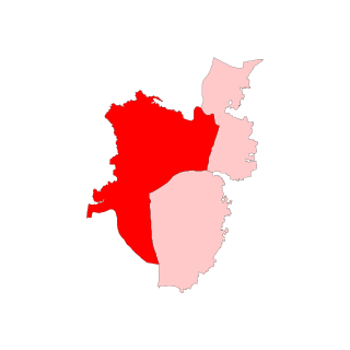 <span class="mw-page-title-main">Litipara Assembly constituency</span> Vidhan Sabha constituency