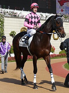 Olivier Peslier French thoroughbred horse racing jockey (born 1973)